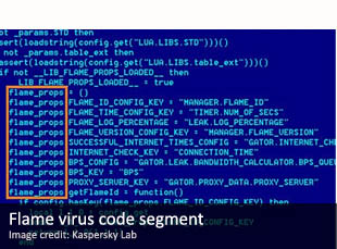 Flame virus code segment Flame virus code segment