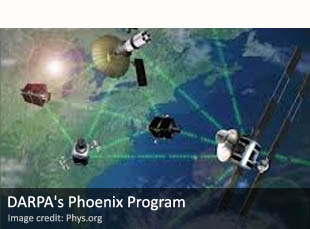 DARPA's Phoenix Program