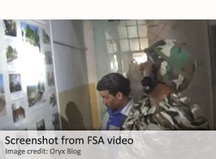 Screenshot from FSA video