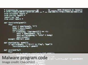 Malware program code